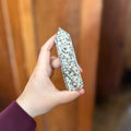 Kiwi Jasper