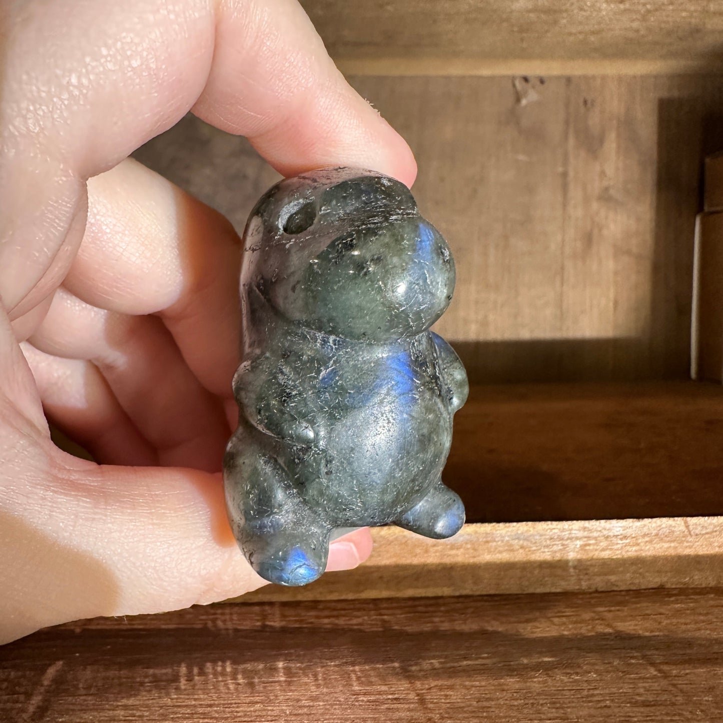 Labradorite Chonky Dinosaurs