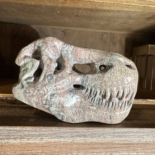 Picture Jasper T-Rex Skull