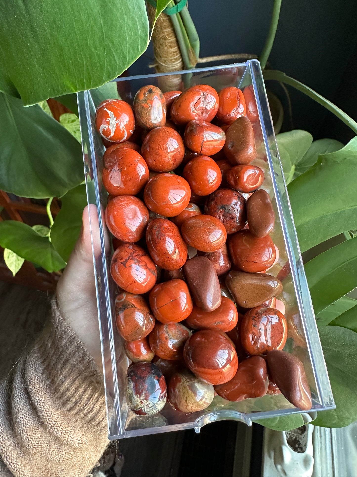 Red Jasper Tumbled