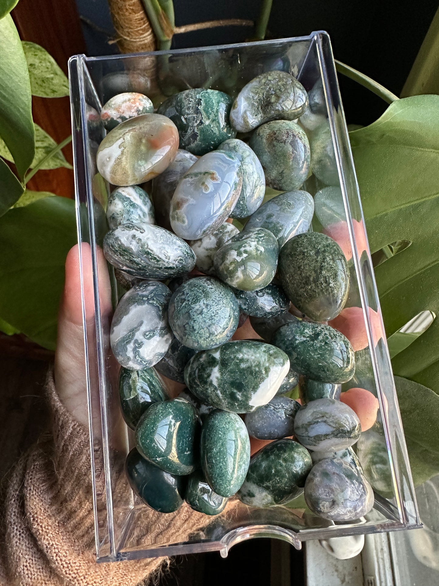 Moss Agate Tumbled