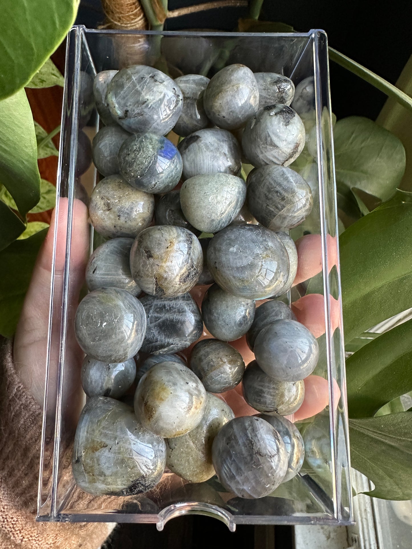 Labradorite Tumbled