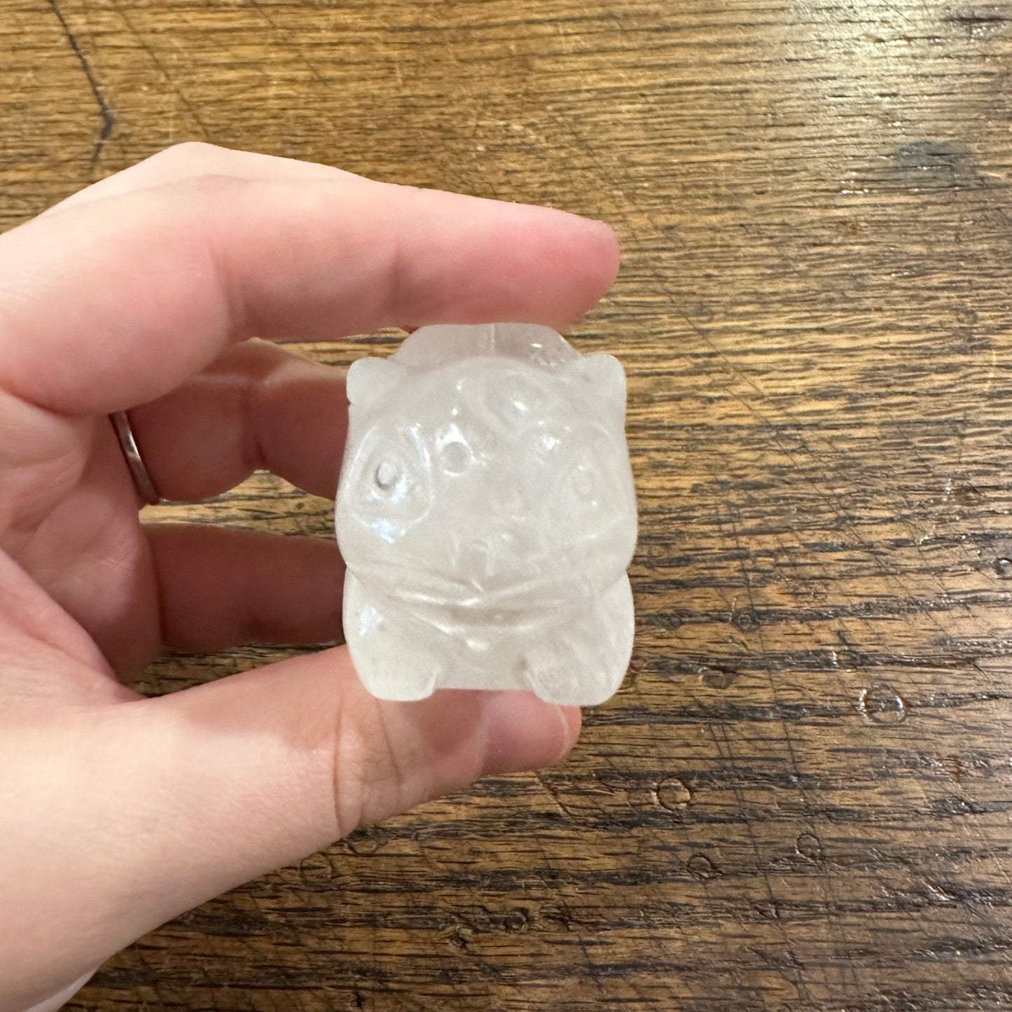 Clear Quartz Bulbasaur