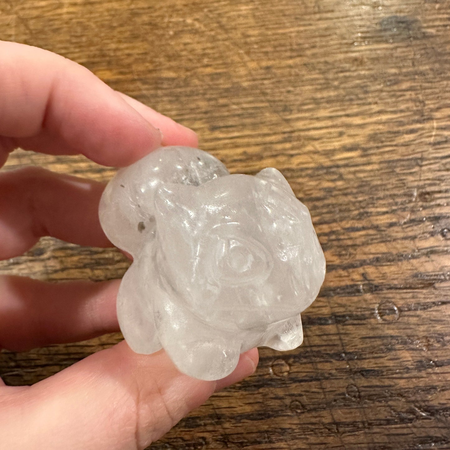 Clear Quartz Bulbasaur